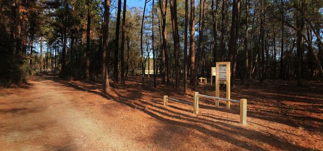 18028 Brennie Bird Lane, Conroe, TX 77302