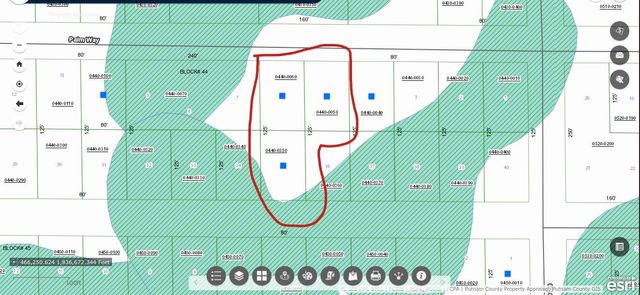 329 Palm Way, Georgetown, FL 32139