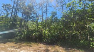 329 Palm Way, Georgetown, FL 32139