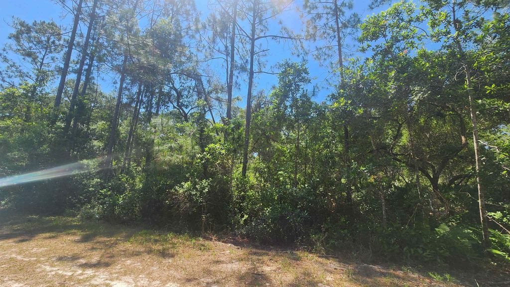 329 Palm Way, Georgetown, FL 32139