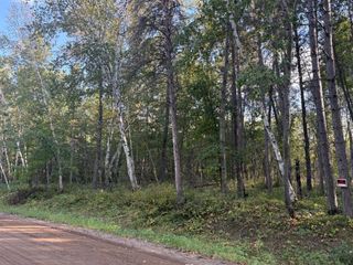 TBD Evergreen Drive, Nevis, MN 56467