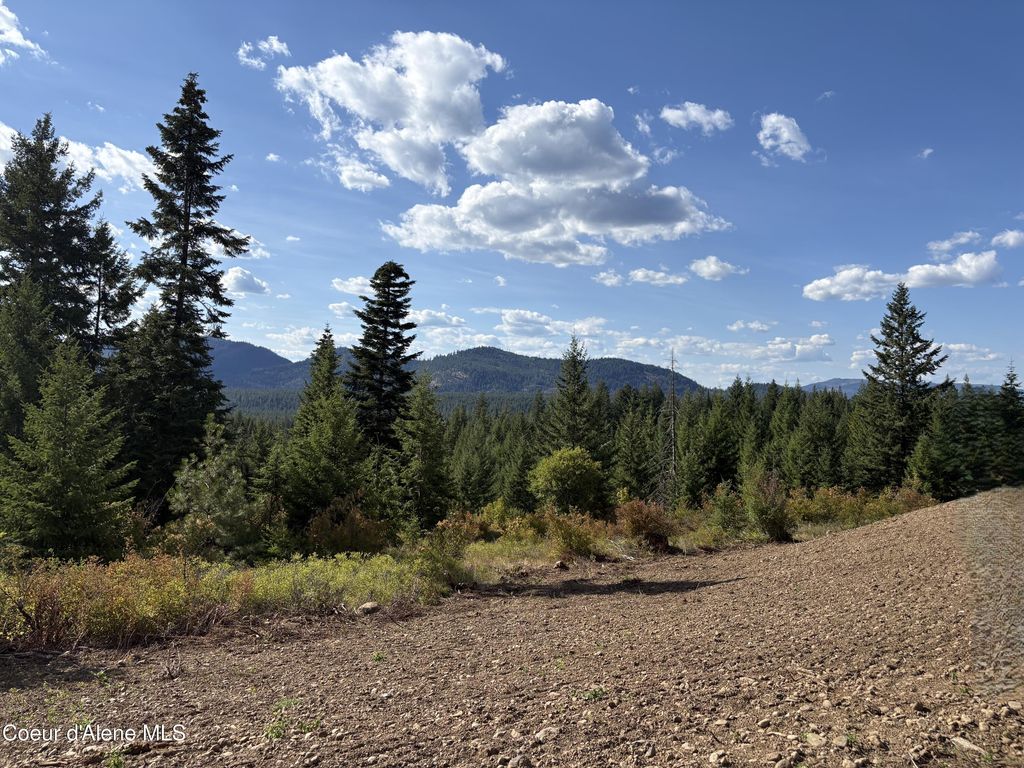 L5 Gemini Lane, Rathdrum, ID 83858 photo 13