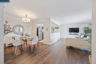 417 Evelyn Avenue 302, Albany, CA 94706
