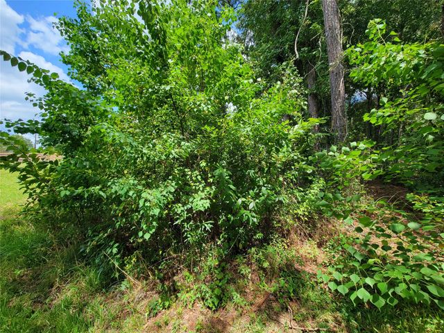 0 Tri Lakes Rd, Montgomery, TX 77316