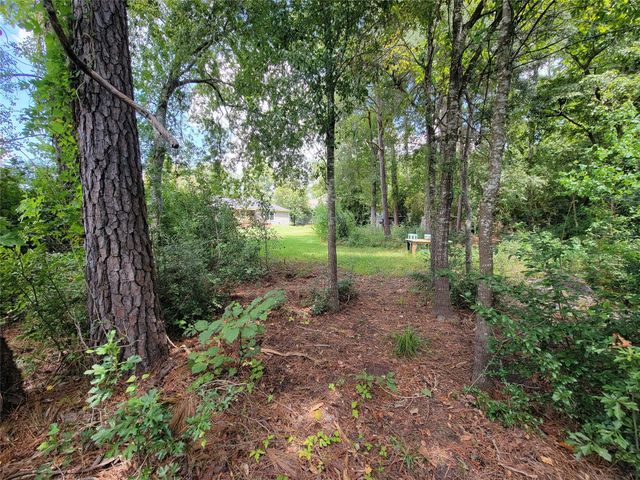 0 Tri Lakes Rd, Montgomery, TX 77316