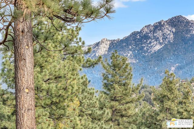 53440 Westridge Road, Idyllwild, CA 92549