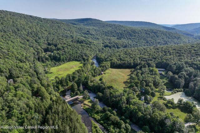 821 Berry Brook Road, Roscoe, NY 12776