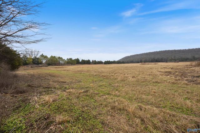 329 Anna Drive, New Hope, AL 35760