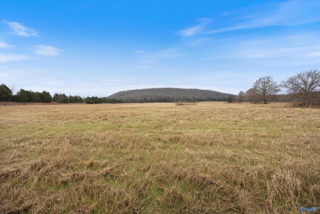 329 Anna Drive, New Hope, AL 35760