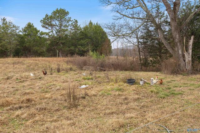 329 Anna Drive, New Hope, AL 35760