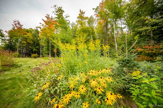 8450 N Van Buskirk Road, Ironwood, MI 49938