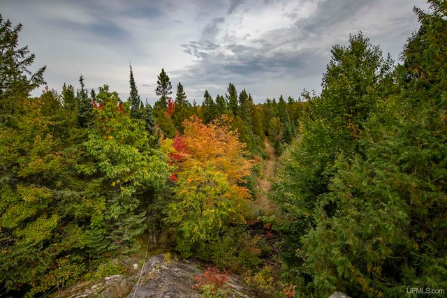 8450 N Van Buskirk Road, Ironwood, MI 49938