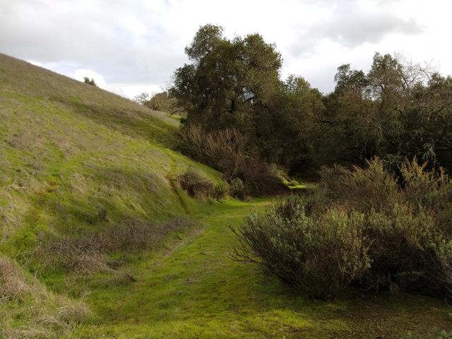 17880 Oak Glen Avenue, Morgan Hill, CA 95037