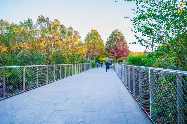 581 Sherwood NE Road, Atlanta, GA 30324