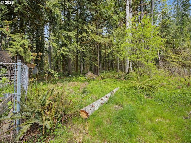 70385 E MOUNTAIN Dr, Rhododendron, OR 97049