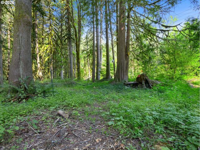 70385 E MOUNTAIN Dr, Rhododendron, OR 97049