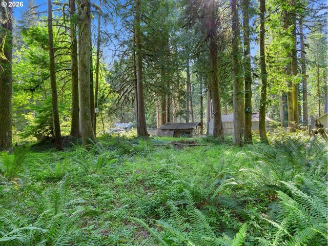 70385 E MOUNTAIN Dr, Rhododendron, OR 97049