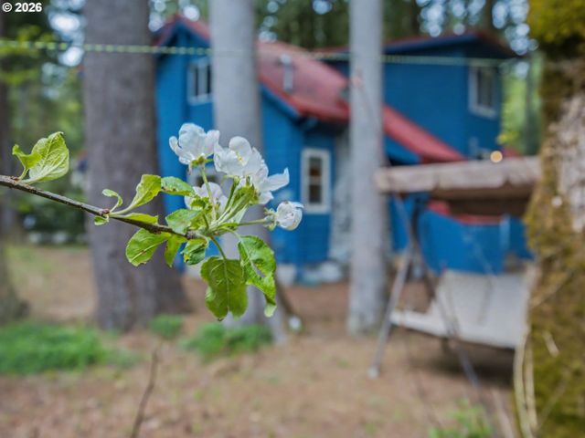 70385 E MOUNTAIN Dr, Rhododendron, OR 97049