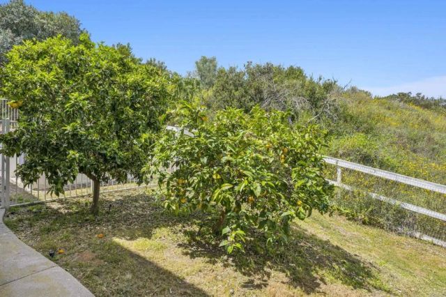 970 DOVE RUN RD, Encinitas, CA 92024