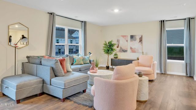 74 Ollie Street, Johnson City, TN 37615