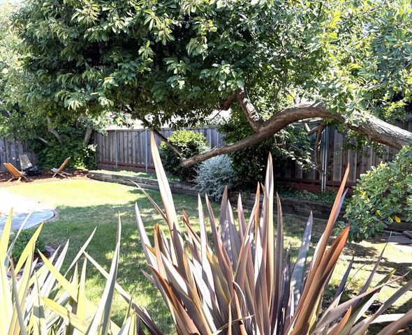 4708 Borina Drive, San Jose, CA 95129