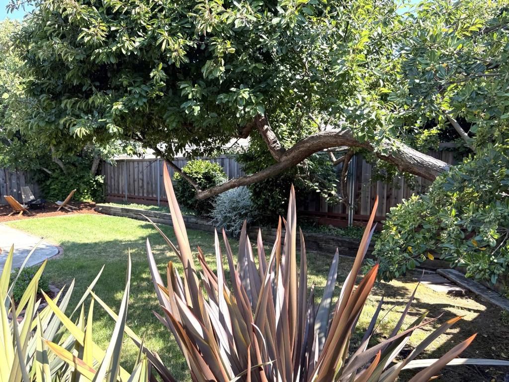 Image 10 of property listing at 4708 Borina Drive, San Jose, CA 95129