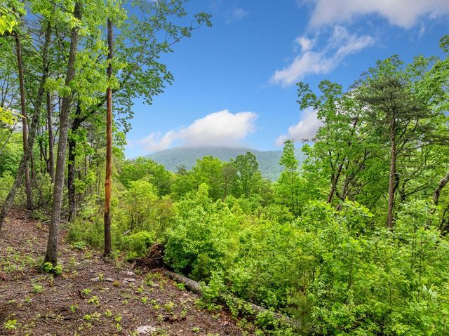 Lot 53 High Summit Drive, Talking Rock, GA 30175