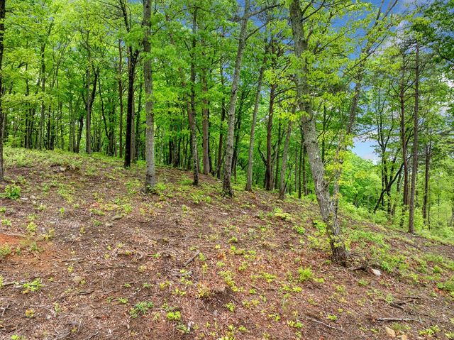 Lot 53 High Summit Drive, Talking Rock, GA 30175