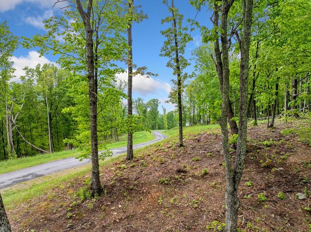 Lot 53 High Summit Drive, Talking Rock, GA 30175