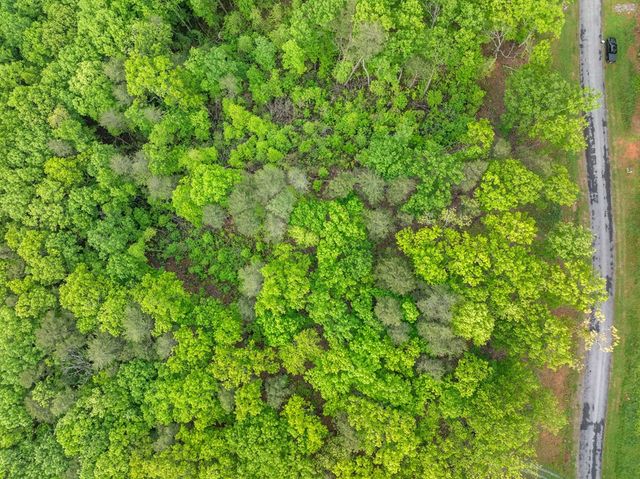 Lot 53 High Summit Drive, Talking Rock, GA 30175