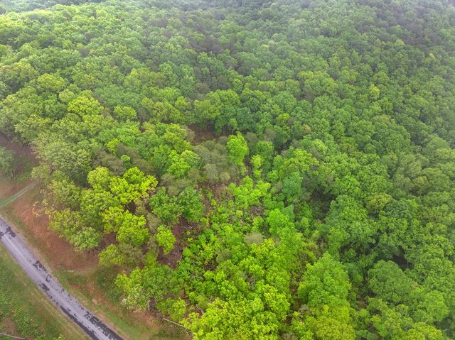 Lot 53 High Summit Drive, Talking Rock, GA 30175