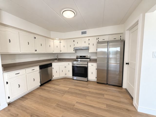 9051 S Roberts Road 205, Hickory Hills, IL 60457