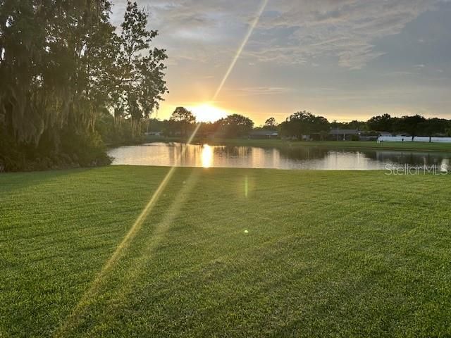 440 LAKEVIEW DRIVE, Oldsmar, FL 34677