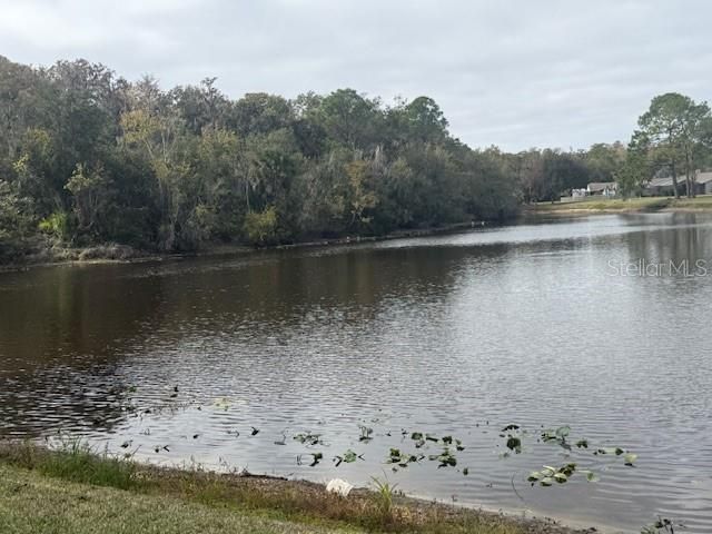 440 LAKEVIEW DRIVE, Oldsmar, FL 34677