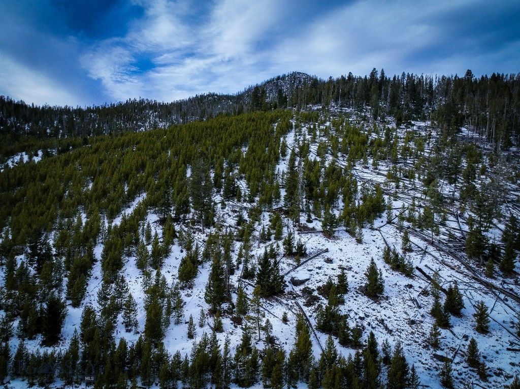 NHN (Clipper Lode) Cataract Creek Road, Boulder, MT 59632 photo 15