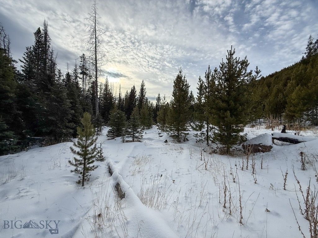 NHN (Clipper Lode) Cataract Creek Road, Boulder, MT 59632 photo 17