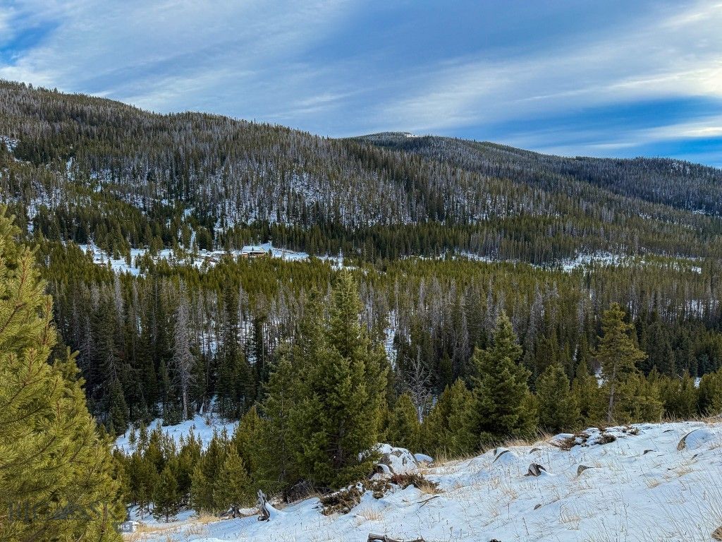 NHN (Clipper Lode) Cataract Creek Road, Boulder, MT 59632 photo 21