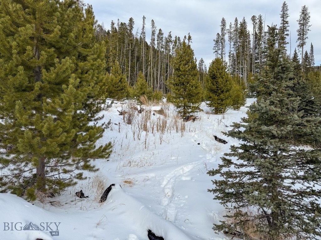 NHN (Clipper Lode) Cataract Creek Road, Boulder, MT 59632 photo 25