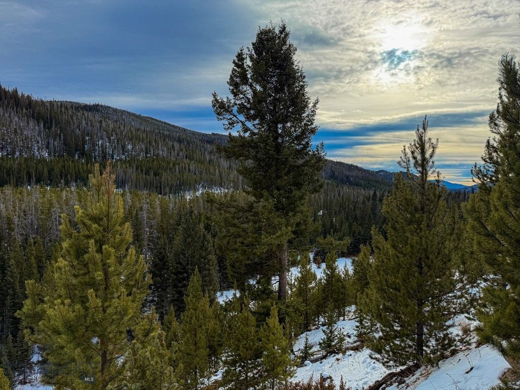 NHN (Clipper Lode) Cataract Creek Road, Boulder, MT 59632 photo 26
