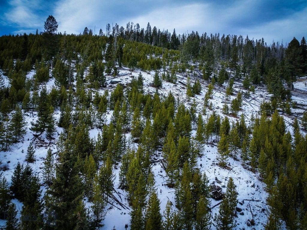 NHN (Clipper Lode) Cataract Creek Road, Boulder, MT 59632 photo 28