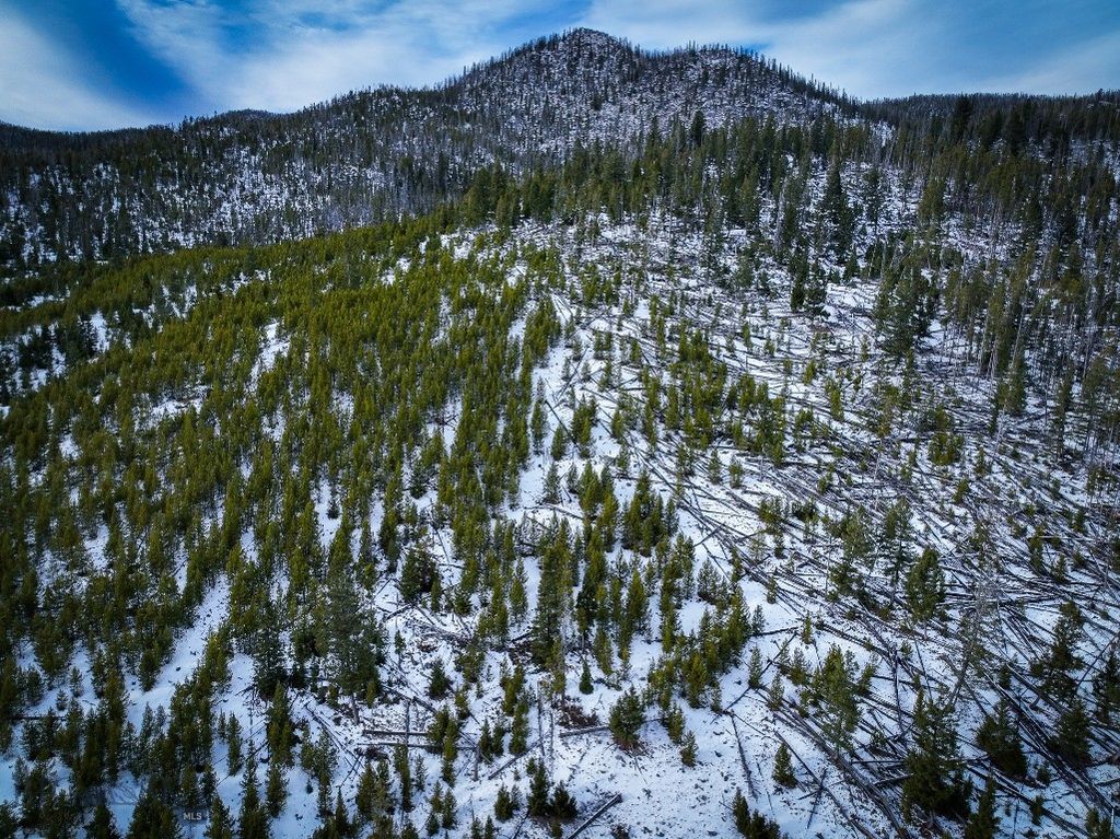 NHN (Clipper Lode) Cataract Creek Road, Boulder, MT 59632 photo 30