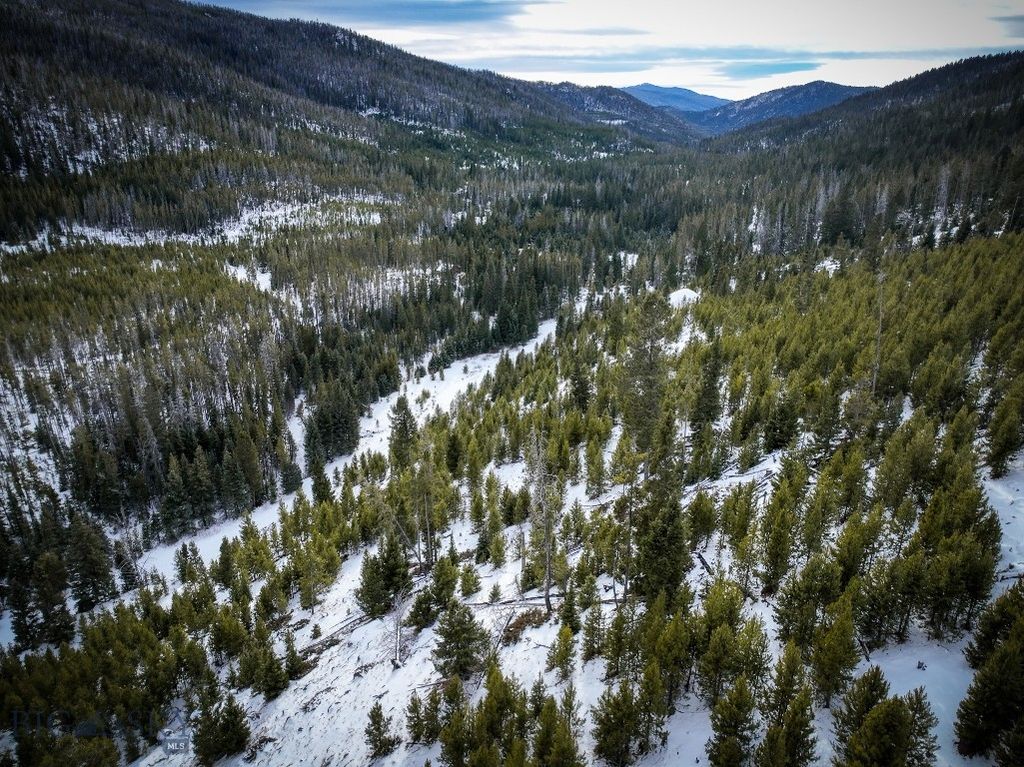 NHN (Clipper Lode) Cataract Creek Road, Boulder, MT 59632 photo 37