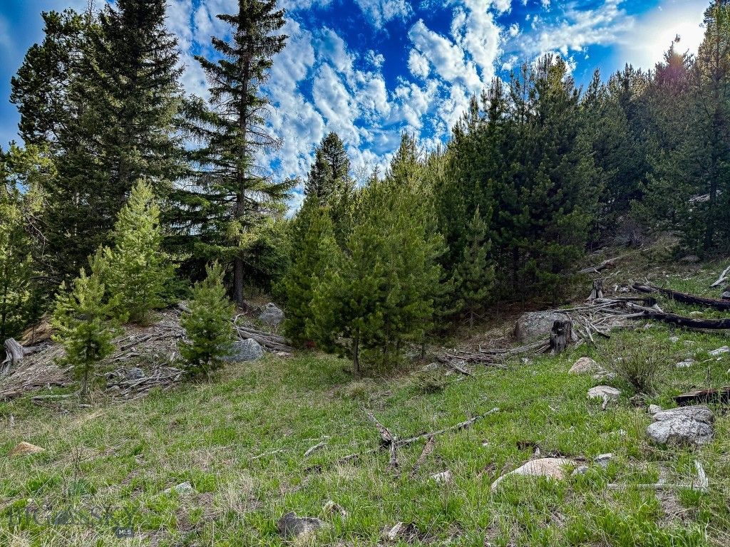 NHN (Clipper Lode) Cataract Creek Road, Boulder, MT 59632 photo 38