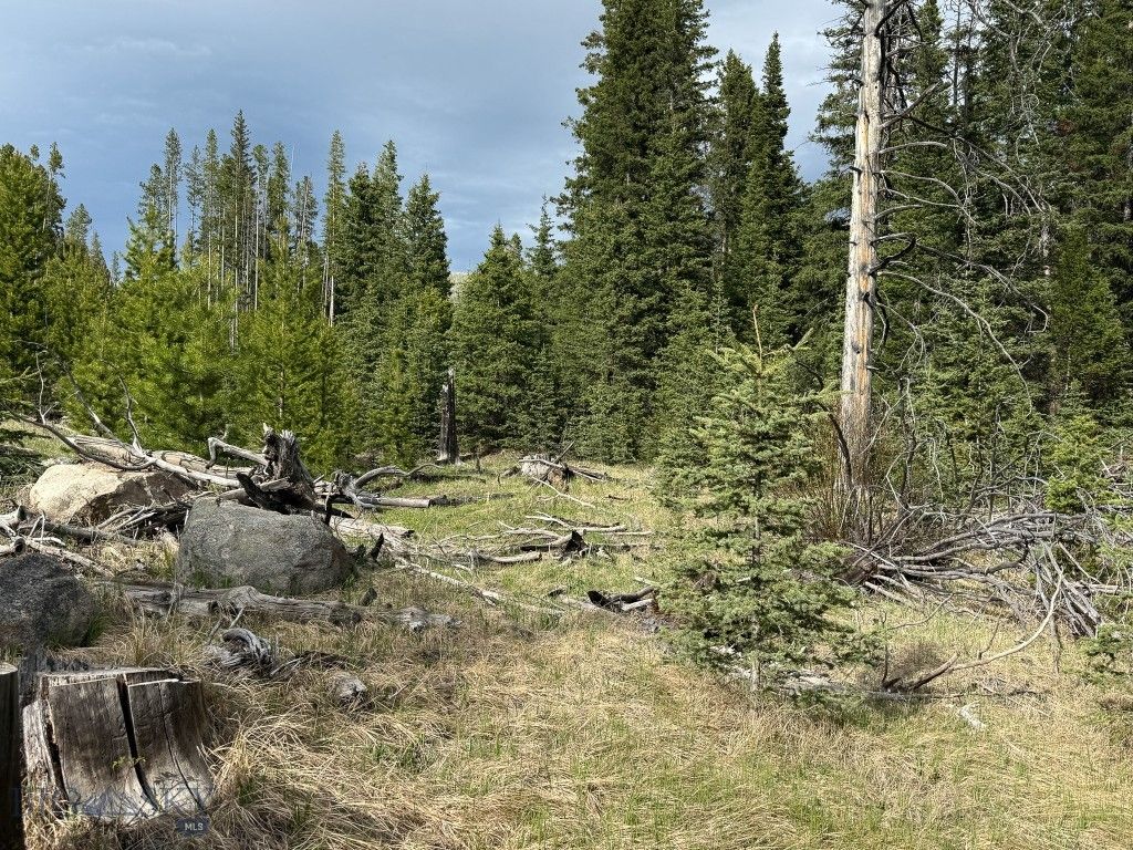 NHN (Clipper Lode) Cataract Creek Road, Boulder, MT 59632 photo 39