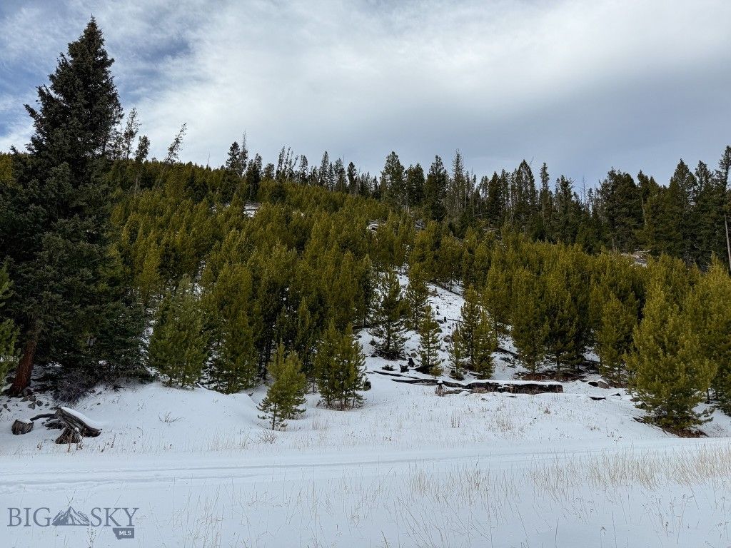 NHN (Clipper Lode) Cataract Creek Road, Boulder, MT 59632 photo 40
