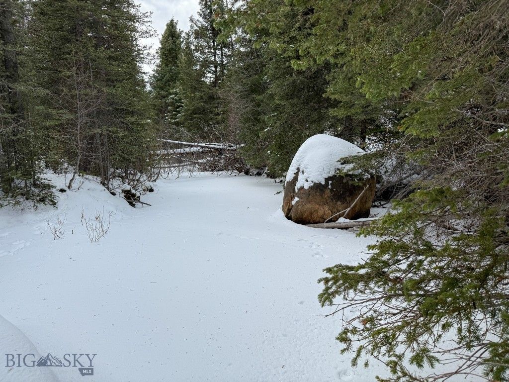 NHN (Clipper Lode) Cataract Creek Road, Boulder, MT 59632 photo 41