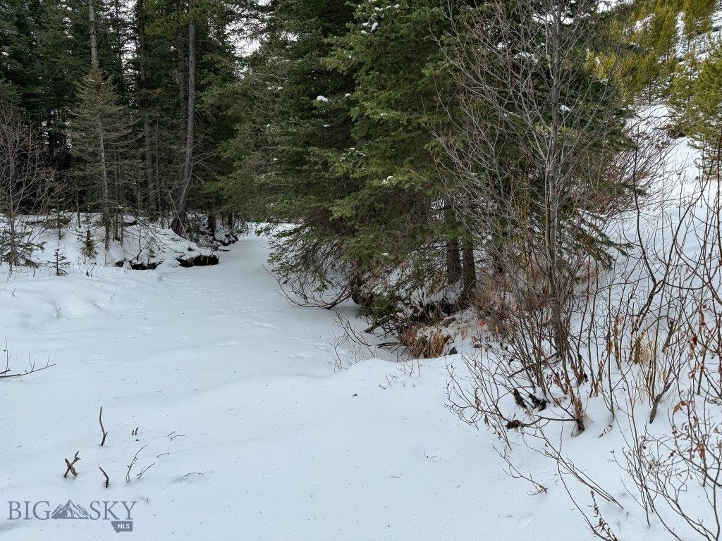NHN (Clipper Lode) Cataract Creek Road, Boulder, MT 59632 photo 42