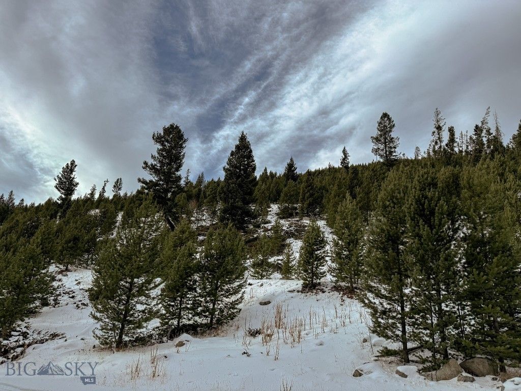 NHN (Clipper Lode) Cataract Creek Road, Boulder, MT 59632 photo 43