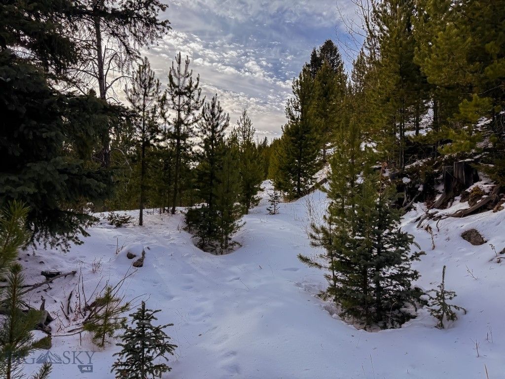 NHN (Clipper Lode) Cataract Creek Road, Boulder, MT 59632 photo 44