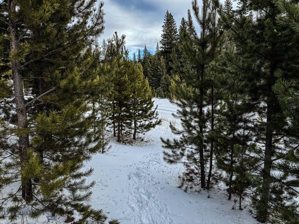 NHN (Clipper Lode) Cataract Creek Road, Boulder, MT 59632 photo 45